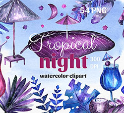 54张高清背景透明背景的北欧风手绘水彩图片：Tropical night - Watercolor